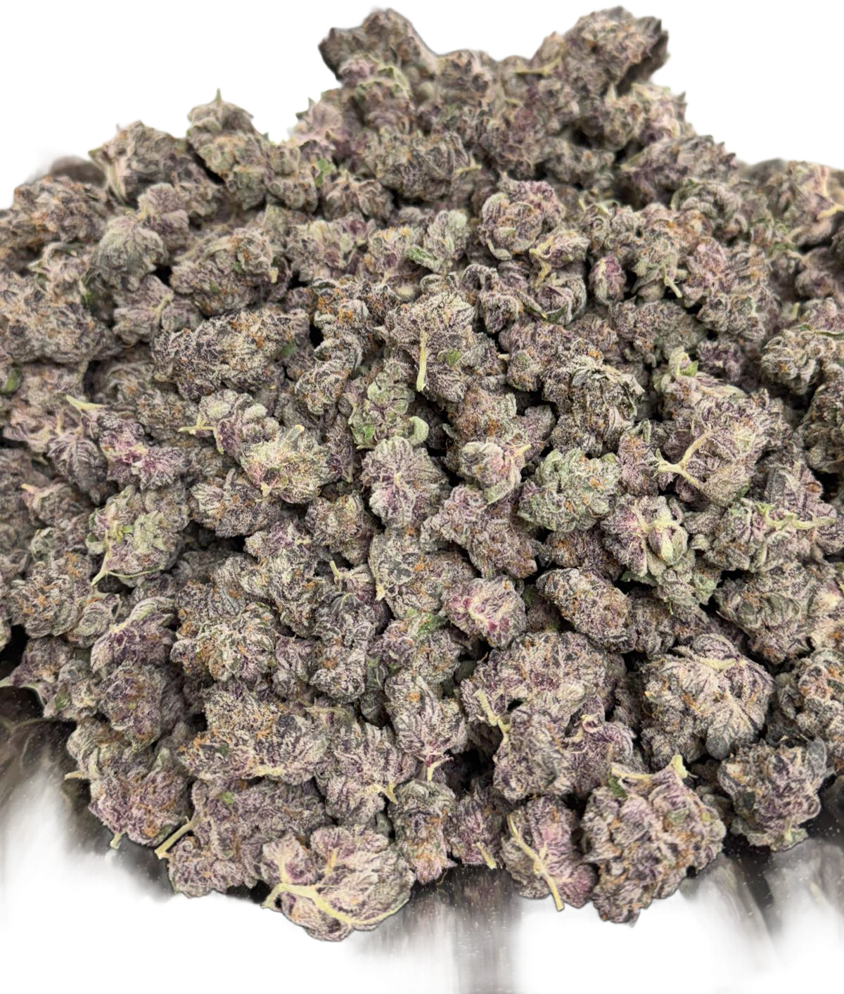 Super Buff Cherry 26
