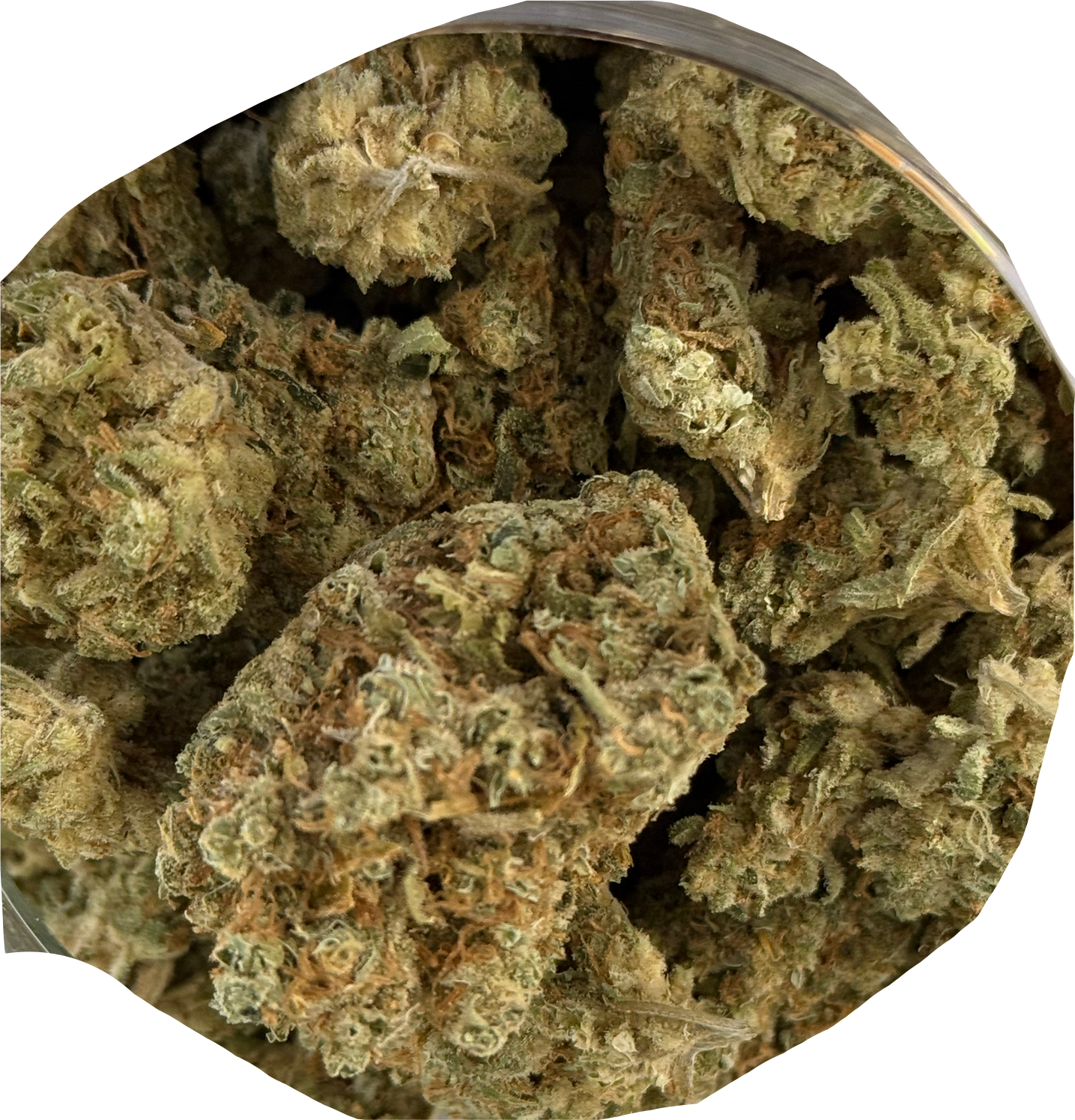 Golden Lemons