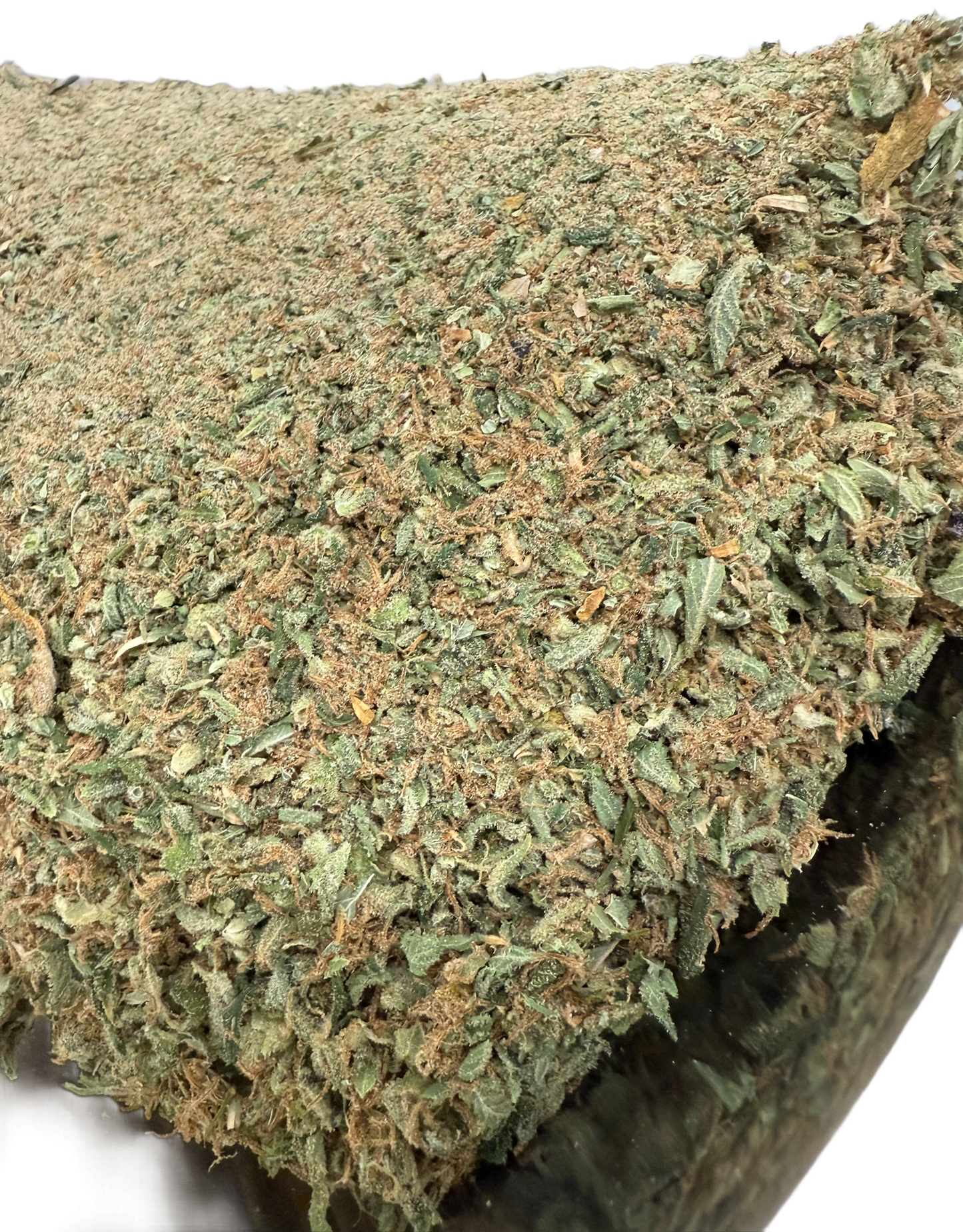 Golden Lemons - Crushed Flower