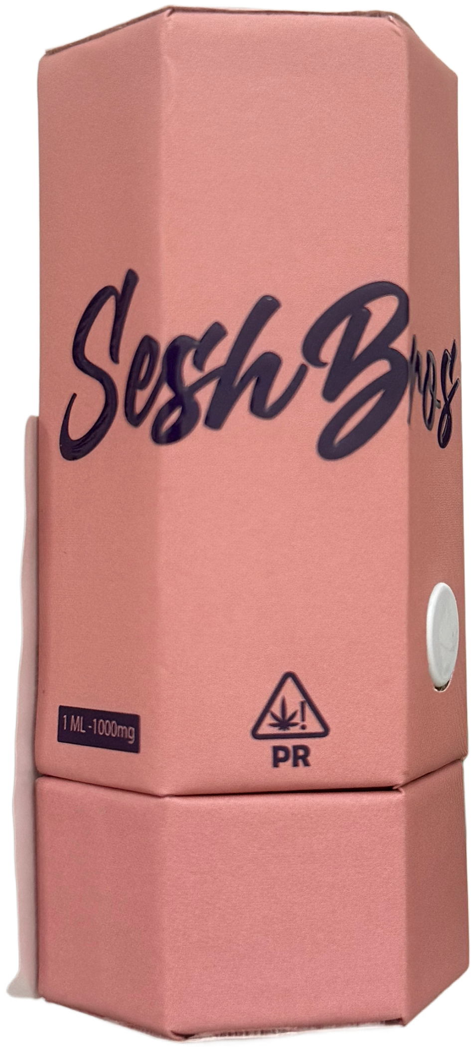 Sesh Bros Disposable 1g - Resin
